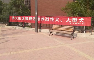 规范社区居民群众依法养犬、文明养犬