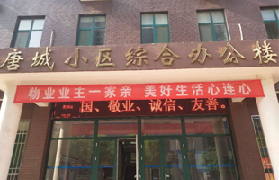 山东保丽洁唐城小区传统文化进社区