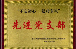 山东保丽洁物业党支部荣获“先进党支部”荣誉称号！