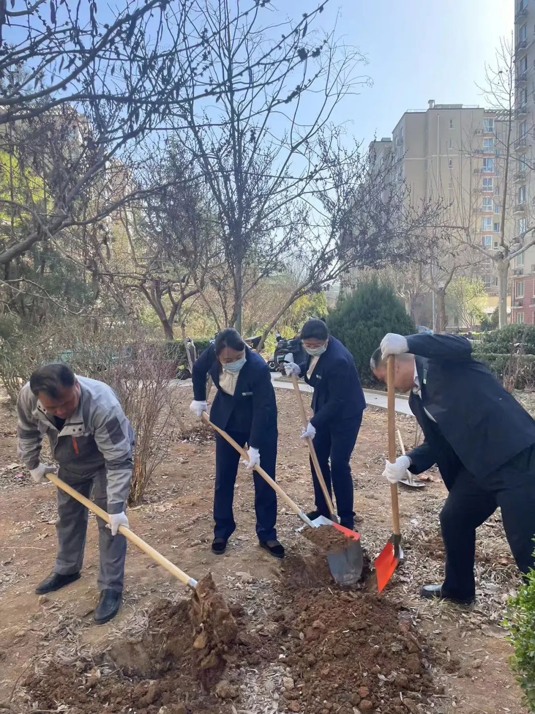 春光无限好  植树正当时