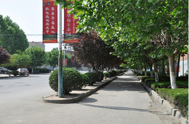 董家街道办事处城乡环卫一体化