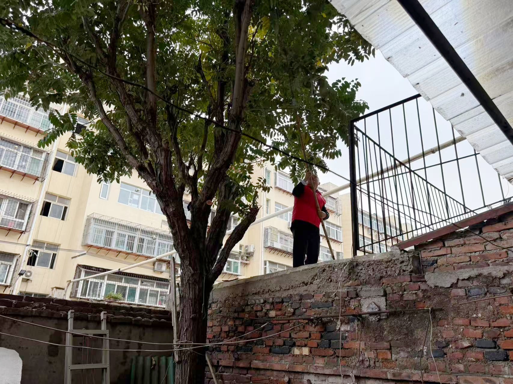 微信图片_20251029101541_524_28