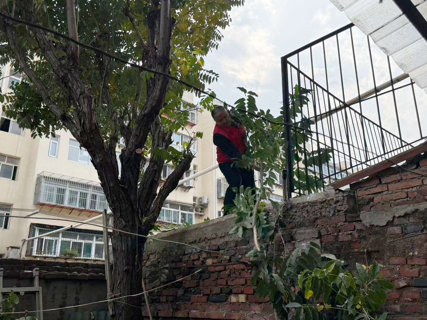 微信图片_20251029101514_507_28