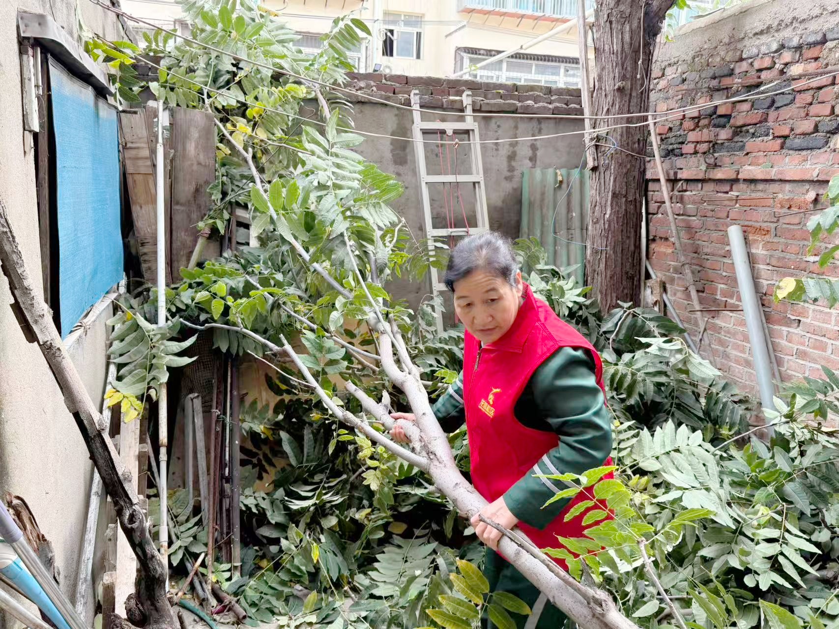 微信图片_20251029101501_501_28